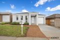 Property photo of 98 Rob Riley Circuit Bonner ACT 2914