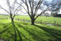 Property photo of 8085 Bass Highway Leongatha South VIC 3953
