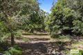 Property photo of 53 Scott Road Halls Gap VIC 3381