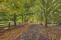 Property photo of 1168 Peats Ridge Road Peats Ridge NSW 2250