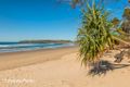 Property photo of 39 Pine Crescent Sandy Beach NSW 2456