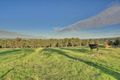 Property photo of 446 Macclesfield Road Macclesfield VIC 3782