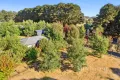 Property photo of 67 Falls Road Trentham VIC 3458