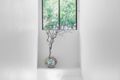 Property photo of 28/114-118 Crimea Road Marsfield NSW 2122