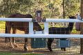 Property photo of 25 Heritage Drive Roleystone WA 6111