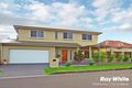 Property photo of 10 Bellevue Avenue Warilla NSW 2528