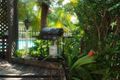 Property photo of 1/4 Christina Court Mermaid Waters QLD 4218