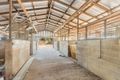 Property photo of 29 Minehane Street Cluden QLD 4811