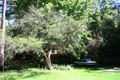 Property photo of 2 Morgan Street Thornleigh NSW 2120