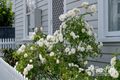 Property photo of 72 Melbourne Street South Launceston TAS 7249