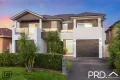 Property photo of 21A Eileen Street Picnic Point NSW 2213