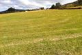 Property photo of 269 Top Swamp Road Lachlan TAS 7140