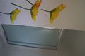 Property photo of 9 Fendi Place Eight Mile Plains QLD 4113