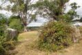 Property photo of 47 Kellys Lookout Road Beaconsfield TAS 7270
