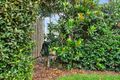 Property photo of 3 Moubray Court Werribee VIC 3030