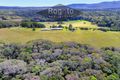 Property photo of 1529 Black Mountain Road Mona Mona QLD 4881