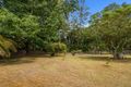 Property photo of 14 Church Street Bellingen NSW 2454