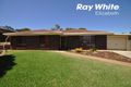 Property photo of 36 Karrawirra Close Craigmore SA 5114
