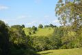 Property photo of 146 Macadamia Drive Maleny QLD 4552