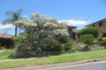 Property photo of 11 Rosalind Street Greystanes NSW 2145