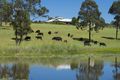 Property photo of 221 Trapyard Road Wang Wauk NSW 2423