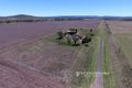 Property photo of 367 Old Bunya Road Kaimkillenbun QLD 4406