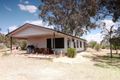 Property photo of 323 Costello Road Loveday SA 5345