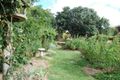 Property photo of 7 Saint Peters Terrace Willunga SA 5172