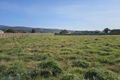 Property photo of 41 Inkerman Street Triabunna TAS 7190