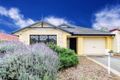 Property photo of 87 Erebus Circuit Morphett Vale SA 5162