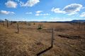 Property photo of 159 Freestone Creek Road Freestone QLD 4370