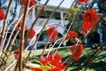 Property photo of 20 Pfaff Street Yeppoon QLD 4703
