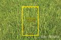 Property photo of 10 Montana Avenue Mulgrave VIC 3170