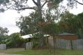 Property photo of 2 Yellowood Close Tewantin QLD 4565