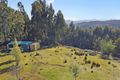 Property photo of 280 Lohreys Road St Marys TAS 7215