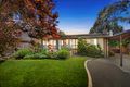 Property photo of 50 Pinewood Drive Mount Waverley VIC 3149