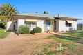 Property photo of 693 Thiele Road Loveday SA 5345