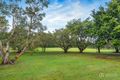 Property photo of 29 Chelford Street Alderley QLD 4051