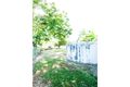 Property photo of 6 Railway Parade St Lawrence QLD 4707