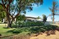 Property photo of 438 Kulkyne Street Renmark West SA 5341
