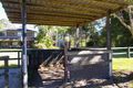 Property photo of 58 O'Leary Avenue Burpengary East QLD 4505