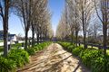 Property photo of 15 Cormilio Drive Wandin North VIC 3139