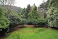 Property photo of 32 View Road The Patch VIC 3792