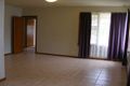 Property photo of 11 Bradley Crescent Wiley Park NSW 2195