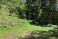 Property photo of 1549 Mossman-Daintree Road Wonga Beach QLD 4873