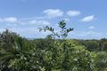 Property photo of 1549 Mossman-Daintree Road Wonga Beach QLD 4873