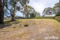 Property photo of 36 Nolan Crescent Kingston TAS 7050