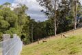 Property photo of 533A Mount Brisbane Road Mount Pleasant QLD 4521