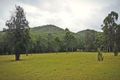 Property photo of 468 Dicksons Road Jilliby NSW 2259