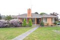 Property photo of 5175 Northern Highway Tooborac VIC 3522